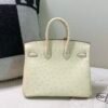 Top Quality Birkin 25CM i2 Nata Ostrich Leather Gold Hardware