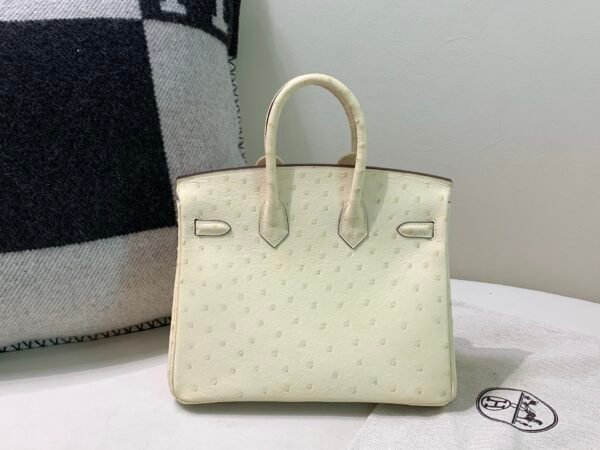Top Quality Birkin 25CM i2 Nata Ostrich Leather Gold Hardware