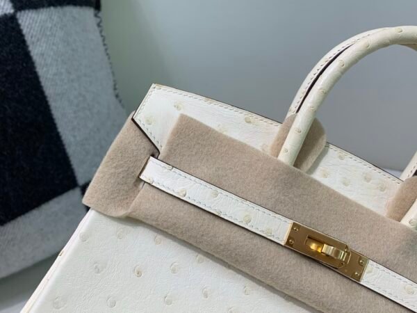 Top Quality Birkin 25CM i2 Nata Ostrich Leather Gold Hardware
