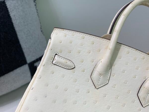 Top Quality Birkin 25CM i2 Nata Ostrich Leather Gold Hardware