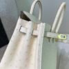 Top Quality Birkin 25CM i2 Nata Ostrich Leather Gold Hardware