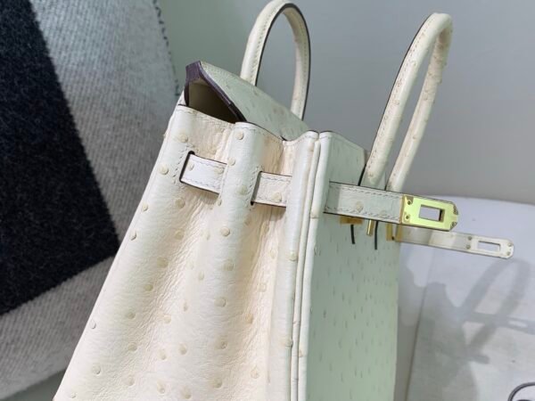 Top Quality Birkin 25CM i2 Nata Ostrich Leather Gold Hardware