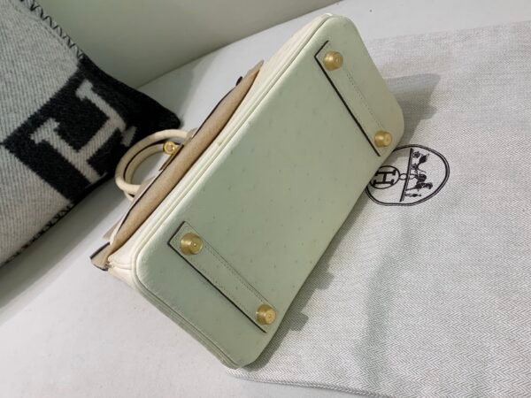 Top Quality Birkin 25CM i2 Nata Ostrich Leather Gold Hardware