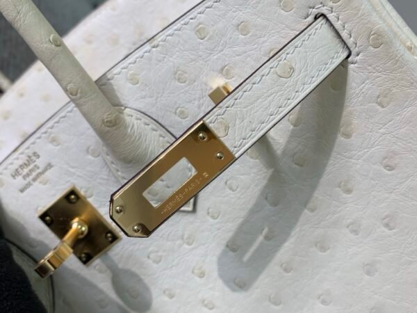 Top Quality Birkin 25CM i2 Nata Ostrich Leather Gold Hardware