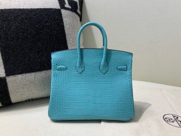 wsxc1773322906081_1 Special Color Birkin 25cm 3Z Bleu Saint Cyr Alligator Leather Silver Hardware