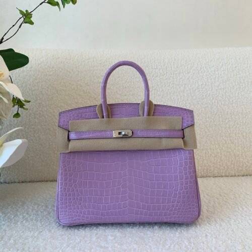 wsxc1773322911225_0 Special Purple color X9 Mauve Sylvestre Birkin 25cm Porosus Leather SHW