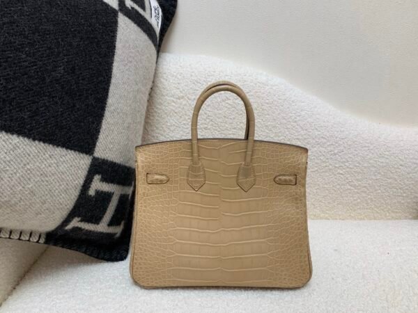 Birkin 25cm 0M Chai Full Handmade Alligator Leather Global Shipping