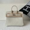 Full Handmade Birkin 25cm 8L Beton Alligator Leather Silver Hardware