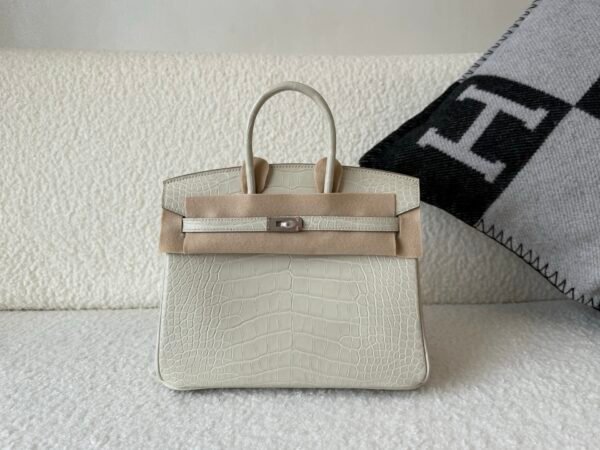 Full Handmade Birkin 25cm 8L Beton Alligator Leather Silver Hardware
