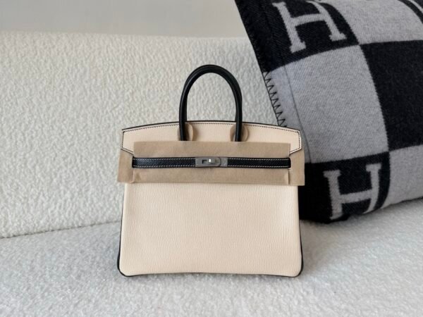 wsxc1776791861590_0 Global Sales Birkin 25cm i2 Nata 89 Nior Chevre Leather Silver Hardware