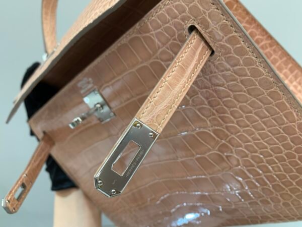 wsxc1782490395564_7 Top Quality Kelly 25cm 94 Terre Cuite Alligator Leather Silver Hardware