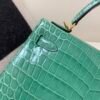 Custom Made Kelly 25cm O6 Vert Jade Shiny Niloticus Leather Gold Hardware